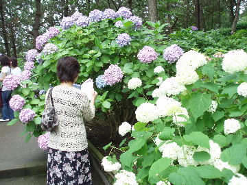 ²èÁü 2010 06 27 017