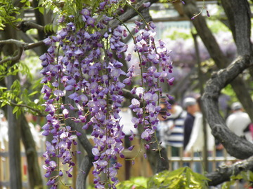 10a