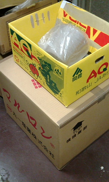 f1893760.jpg