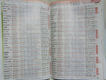 ²èÁü 2010 01 24 013