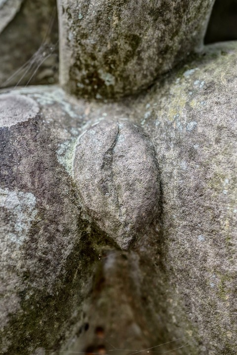 32
