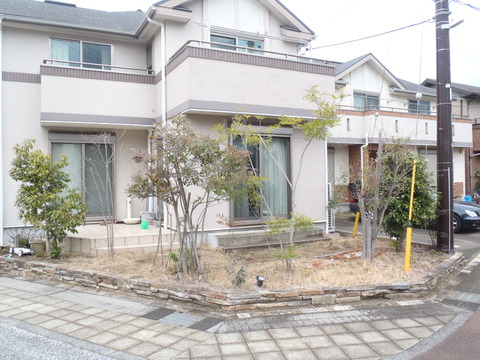 ビフォー02