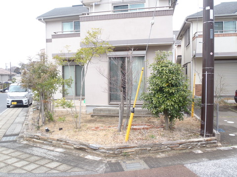 ビフォー01