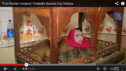 fox-human-in-karachi-zoo