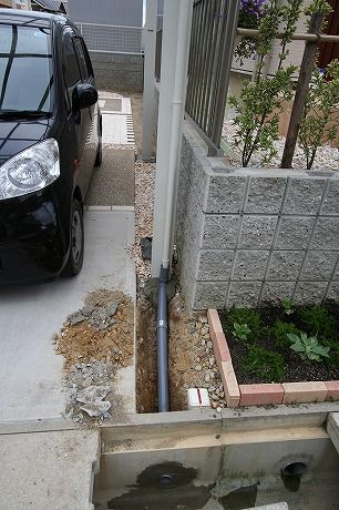 siro 1