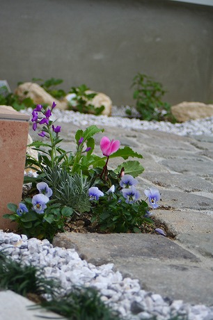 少しの隙間植栽