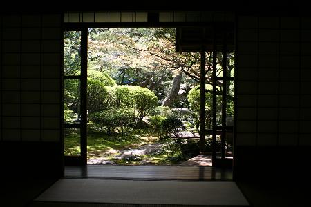 庭