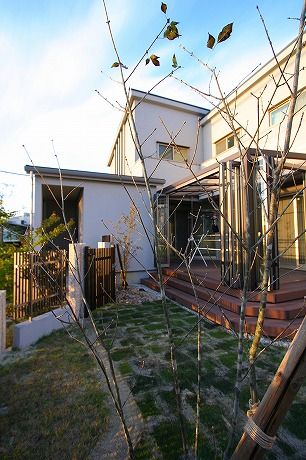 アオダモ、芝も