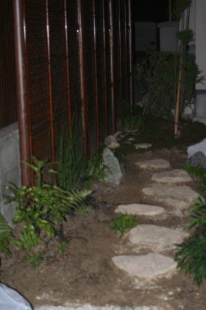 通路の植栽