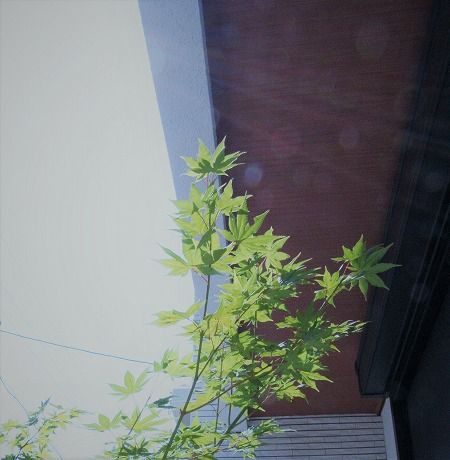 ¥ä¥Þ¥â¥ß¥¸