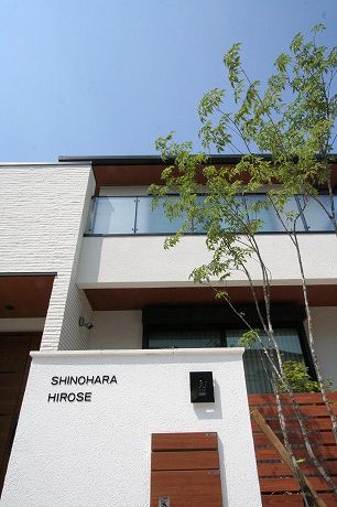 ¥â¥À¥óÌçÃì²¼¤«¤é