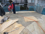 DSCN8848