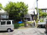 DSCN5604