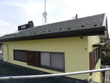 DSCN5549