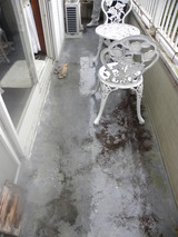 DSCN0008