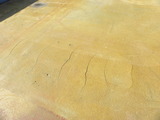 DSCN0332
