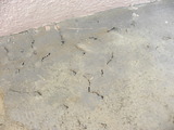 DSCN9153