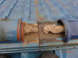 CIMG1205