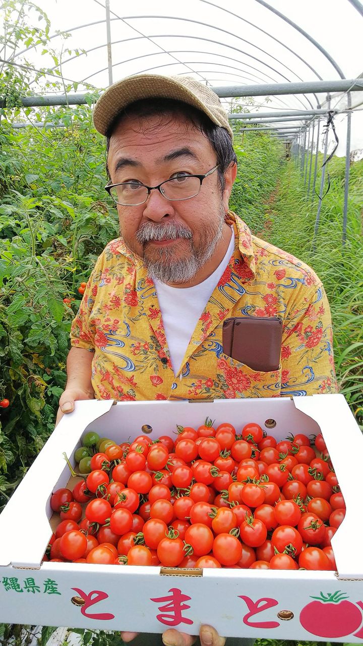 ミニトマトとったど~