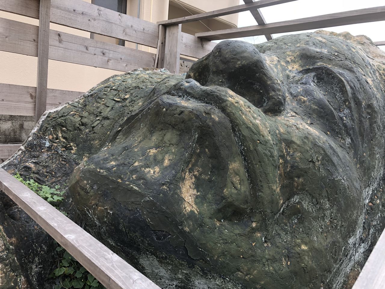 巨大な顔