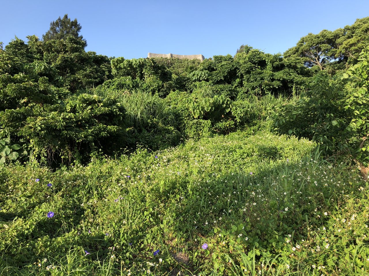 勝連城跡