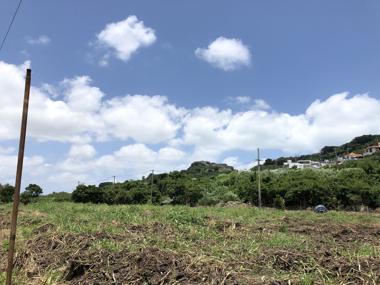 新しい畑