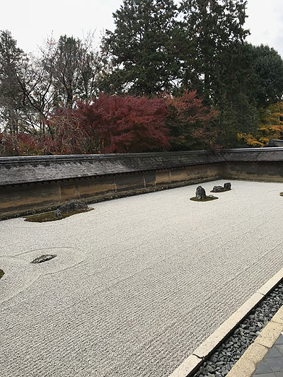 京都D