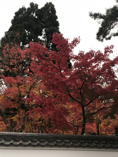 京都F