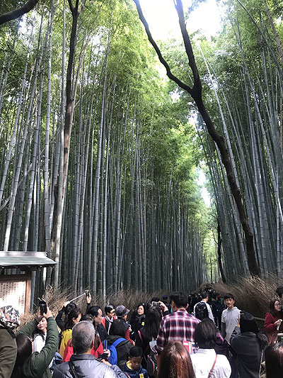 京都B