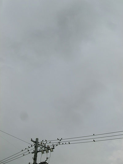 空A