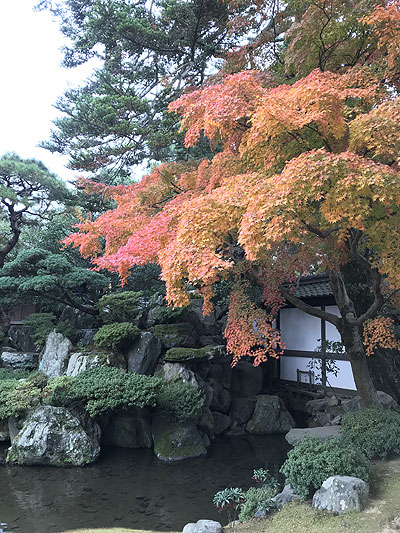 京都E