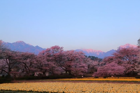 IMG_0180_700
