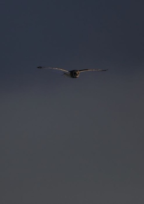 IMG_0025-1_700