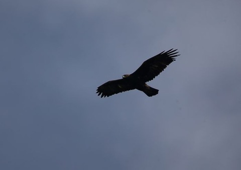 IMG_0834_700