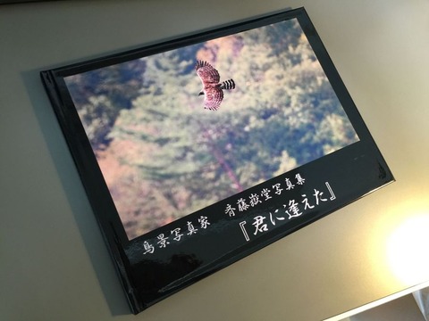 PIC_0008_900