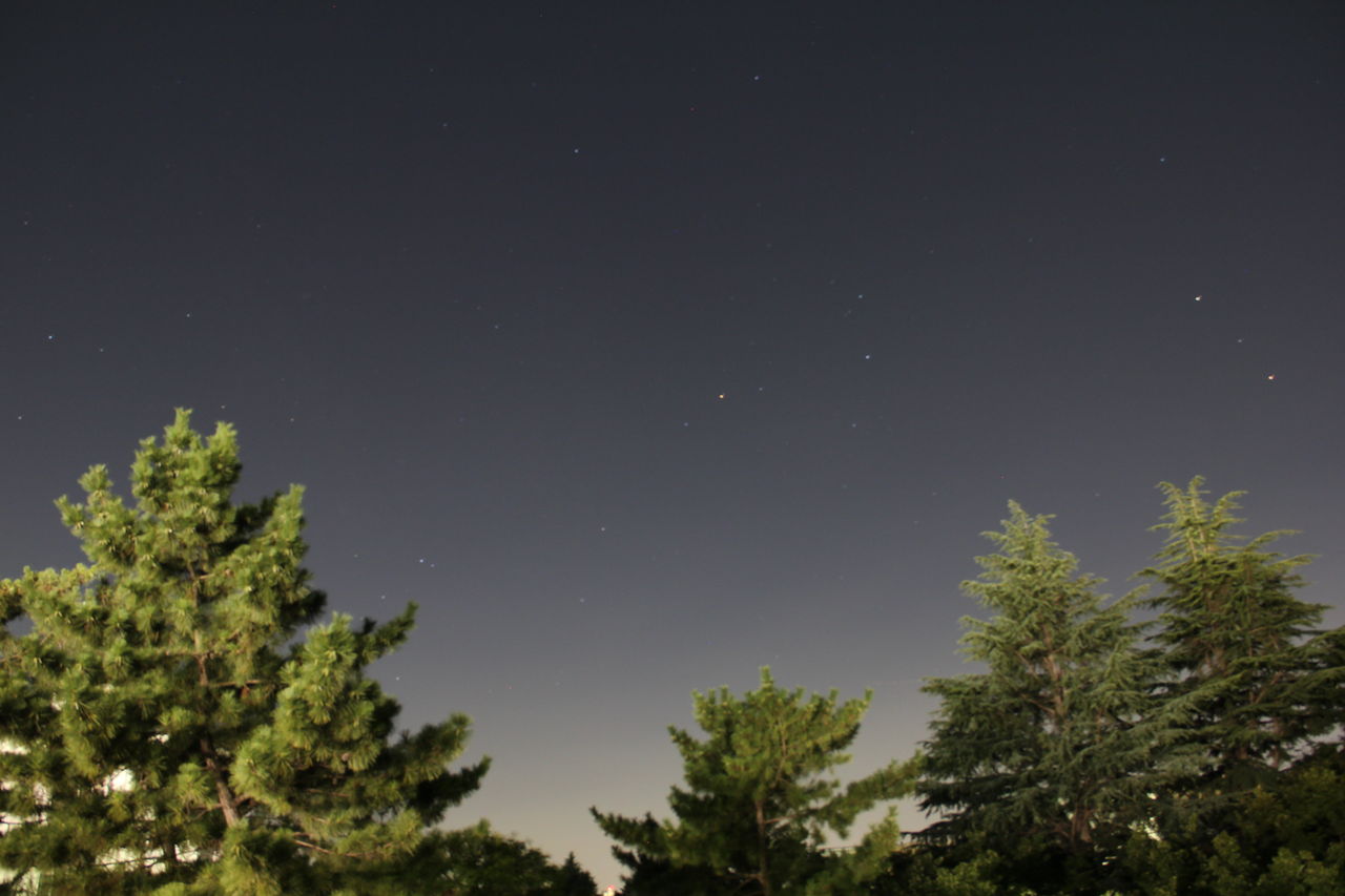 さそり座 土星 火星