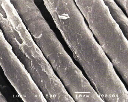 wool-2