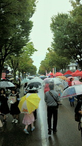 790f786c.jpg
