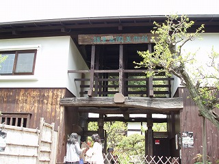 P4290198