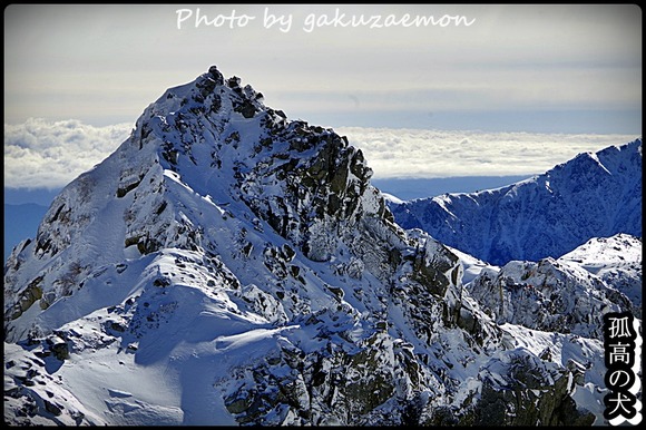 _IGP4008