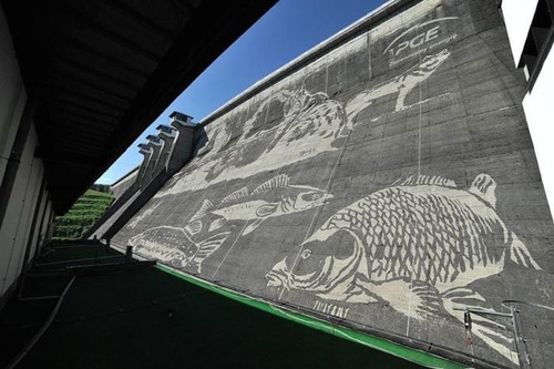 環境破壊ゼロ??ダムの壁面に高圧洗浄機で描かれたアートが凄い!!の画像(5枚目)