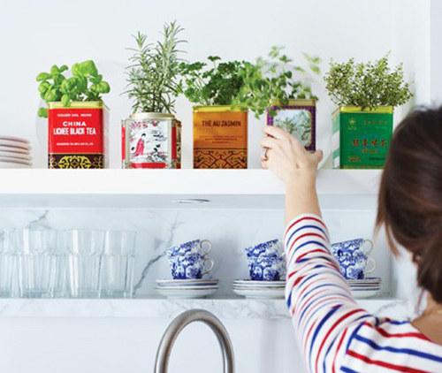【画像】狭くても大丈夫!小さな植木が綺麗に飾れる工夫の数々!の画像(2枚目)
