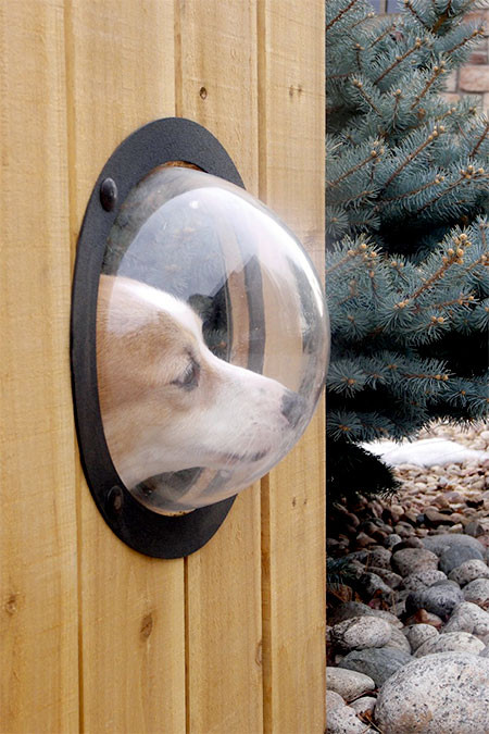 【画像】ワンちゃん大喜び!カッコいい犬用の窓!!の画像(2枚目)