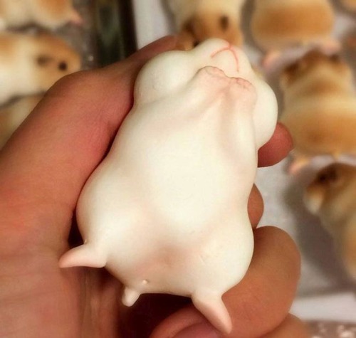 【画像】本物のハムスターそっくりで本物より可愛いハムスターのケーキが凄いwwwの画像(7枚目)