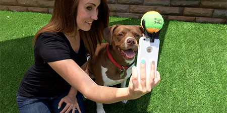 ワンちゃんニッコリ!ペットの犬をほぼ確実に可愛く撮影できるガジェット!!の画像(1枚目)