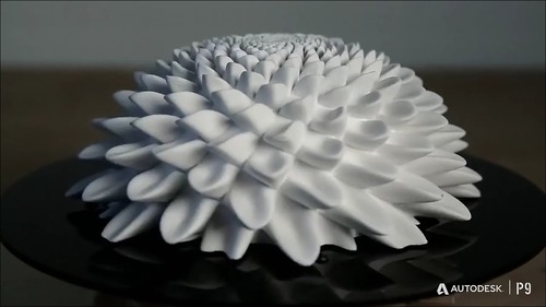 mp4_000006183
