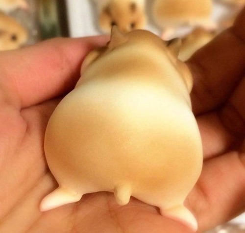 【画像】本物のハムスターそっくりで本物より可愛いハムスターのケーキが凄いwwwの画像(6枚目)