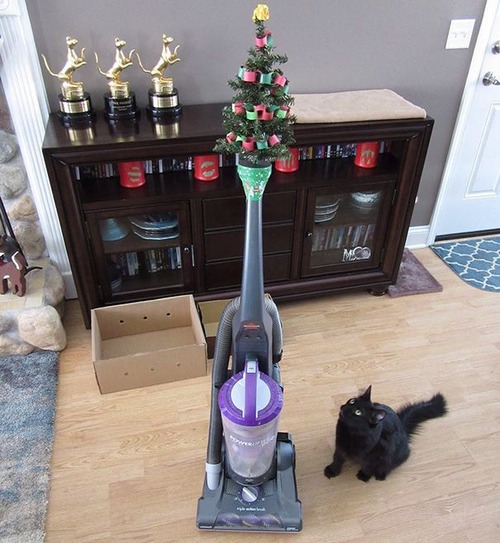 ペットと過ごすクリスマスの画像(3枚目)