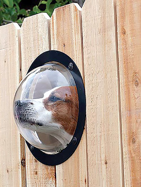 【画像】ワンちゃん大喜び!カッコいい犬用の窓!!の画像(6枚目)