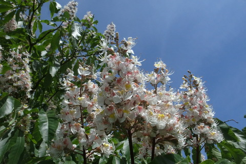 R0014695